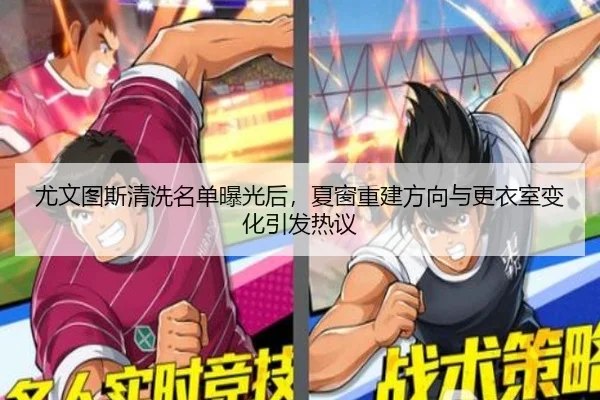 img_1781311062927_236_2_610.jpg